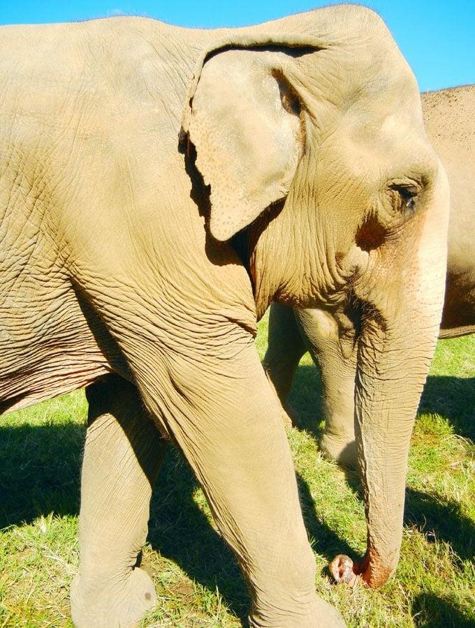 Olifant Natuurpark