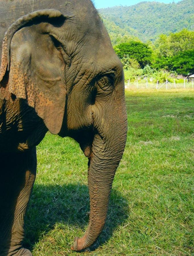 Olifant Natuurpark resensie
