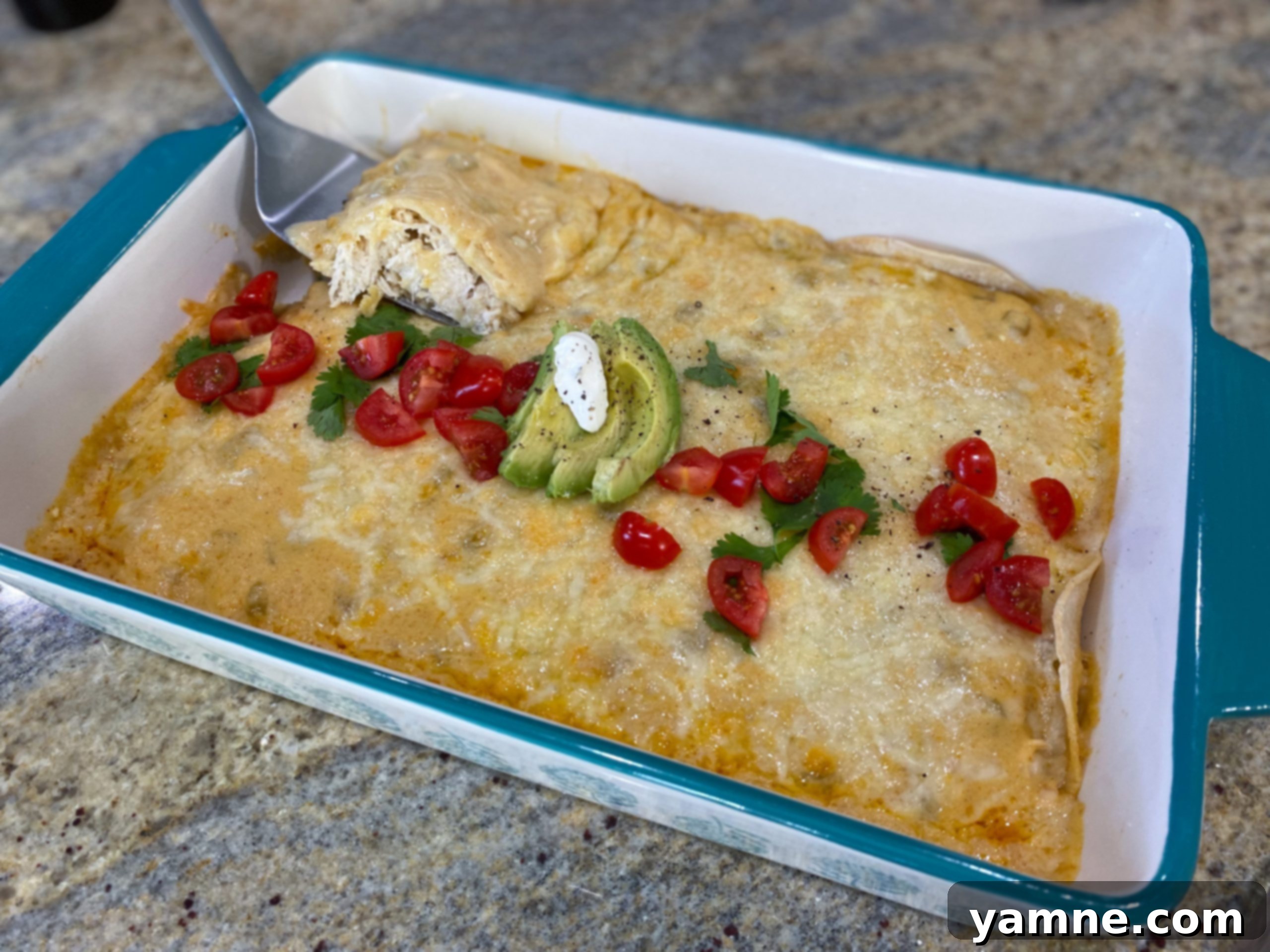 Creamy Dreamy Chicken Enchiladas 1 featured 11464