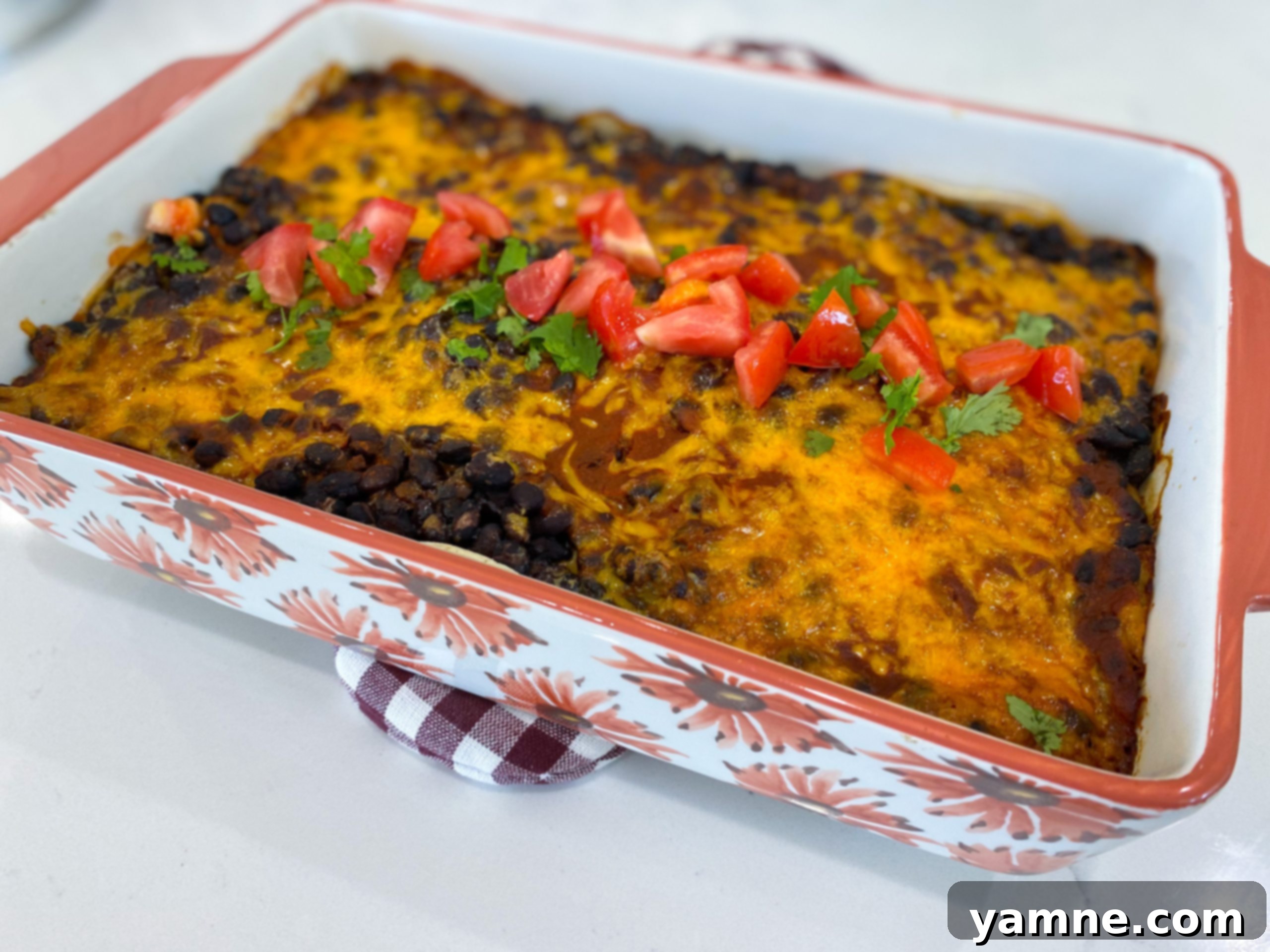 Hearty Black Bean Enchiladas 1 featured 11753