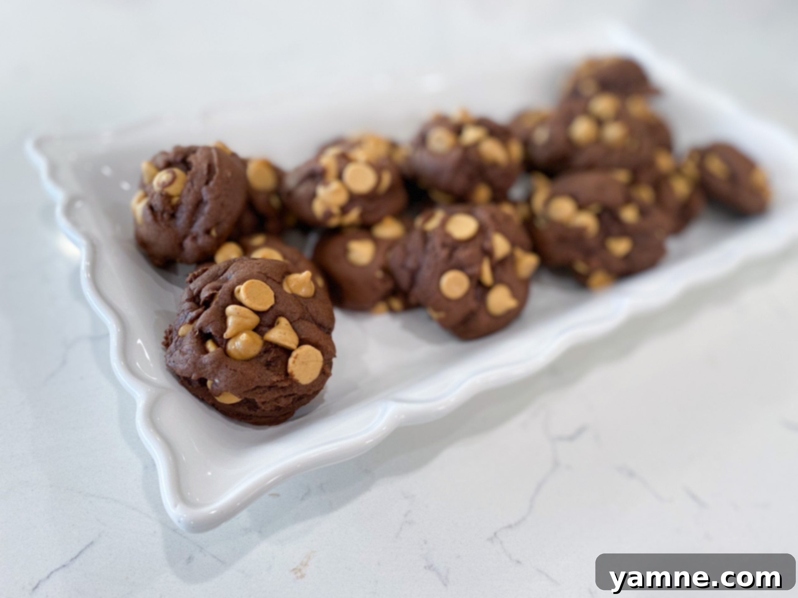 Chocolate Peanut Butter Swirl Cookies 1 featured 11959