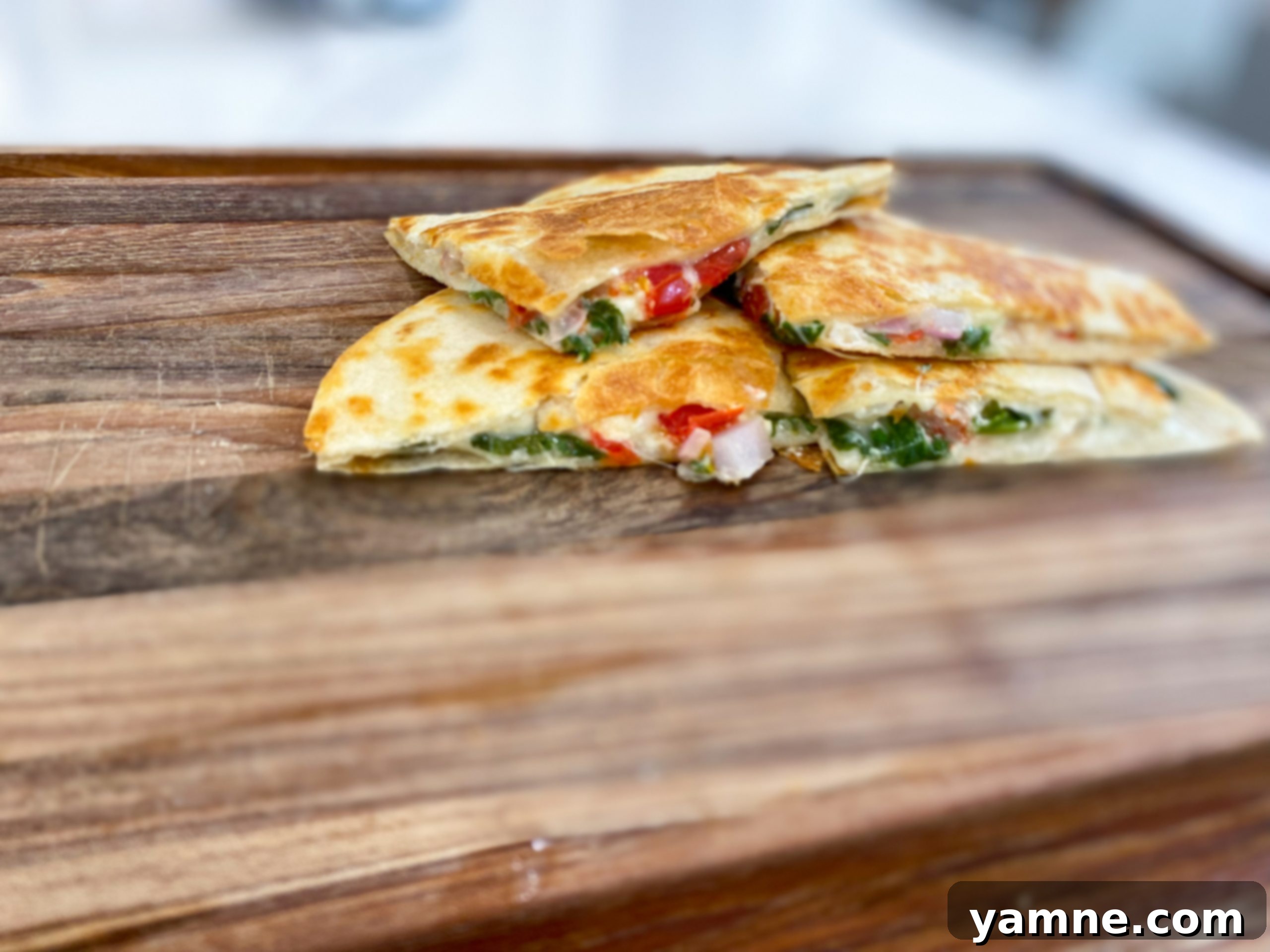 Mediterranean-Inspired Quesadillas 1 featured 12557