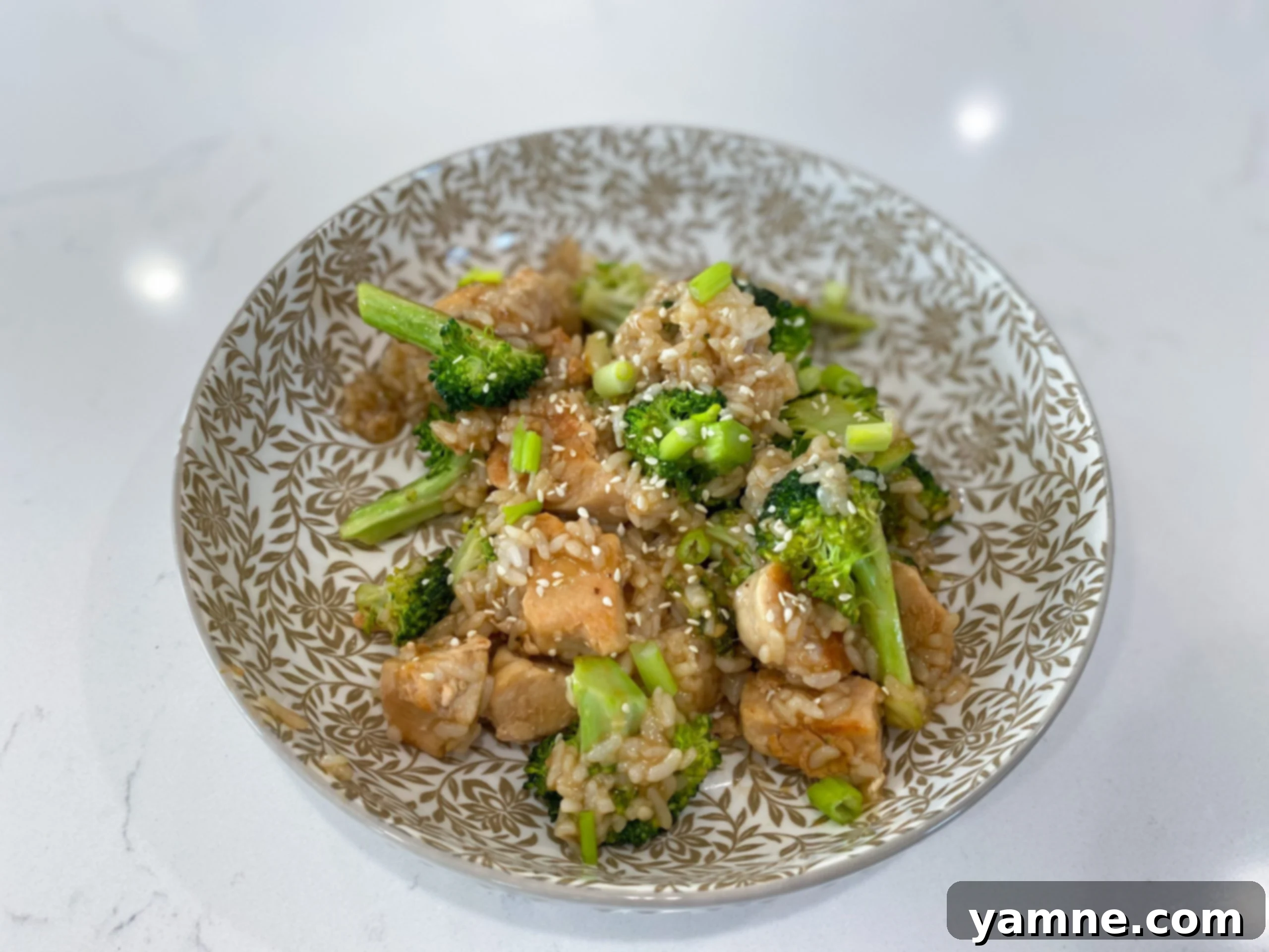 Honey-Glazed Chicken with Rice & Broccoli 1 featured 12567