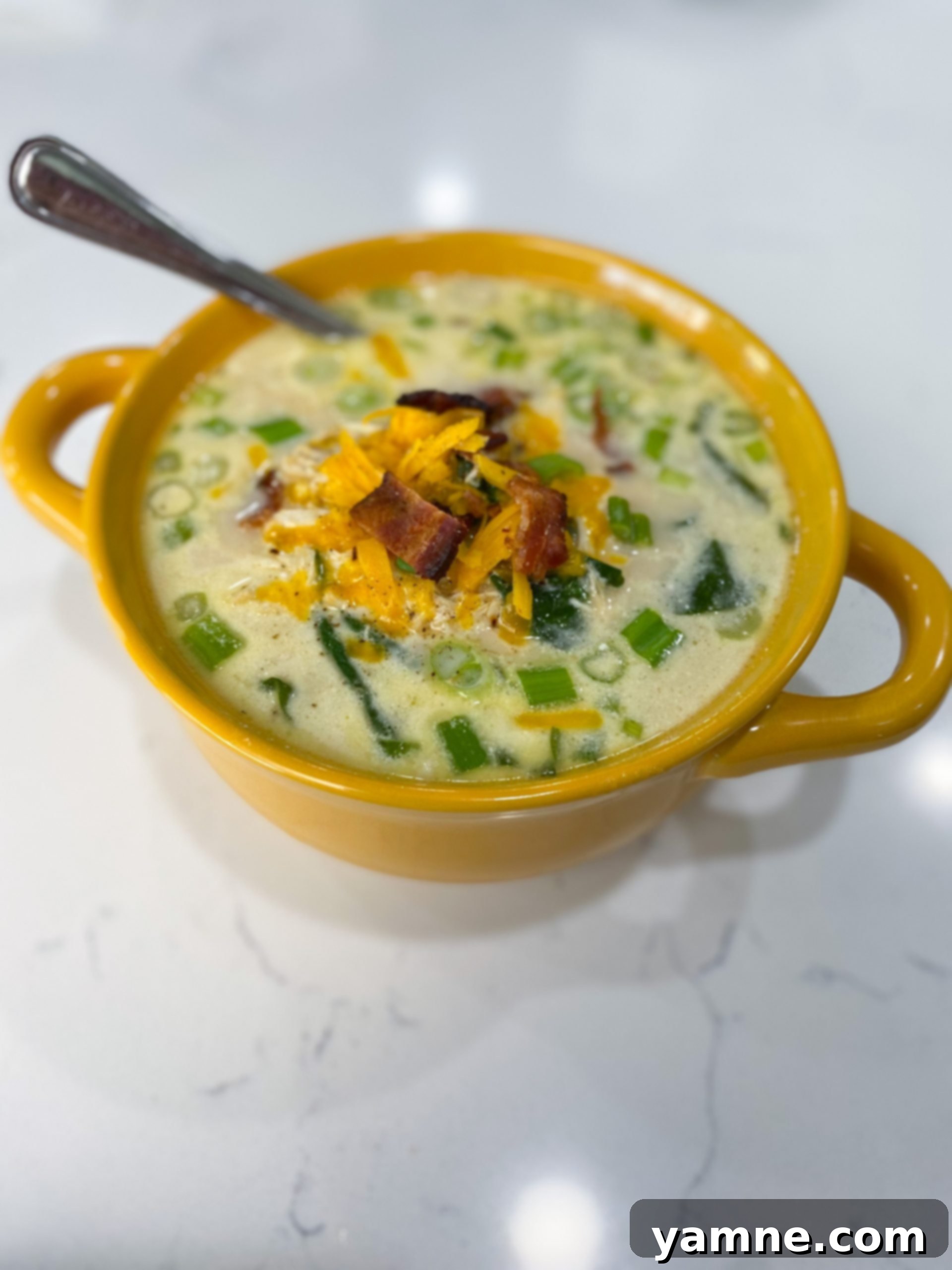 Irresistible Slow Cooker Crack Chicken Soup 1 featured 13489