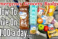 Surviving on $7: A Week of Extreme Budget Eating