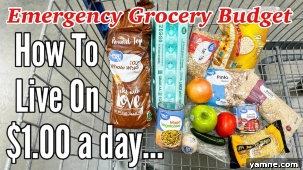 Surviving on $7: A Week of Extreme Budget Eating 1 featured 15397