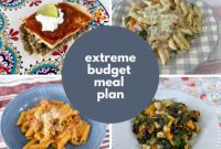 Shoestring Survival Meals