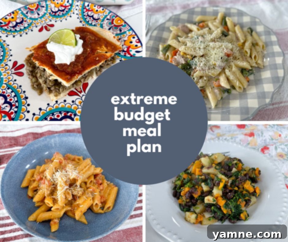 Shoestring Survival Meals 1 featured 15837