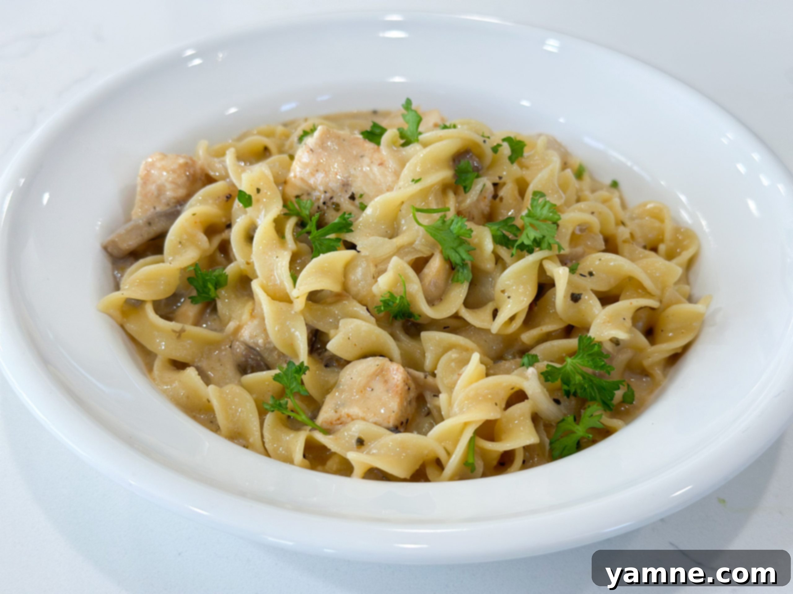 Creamy Chicken Stroganoff Skillet 1 featured 16510