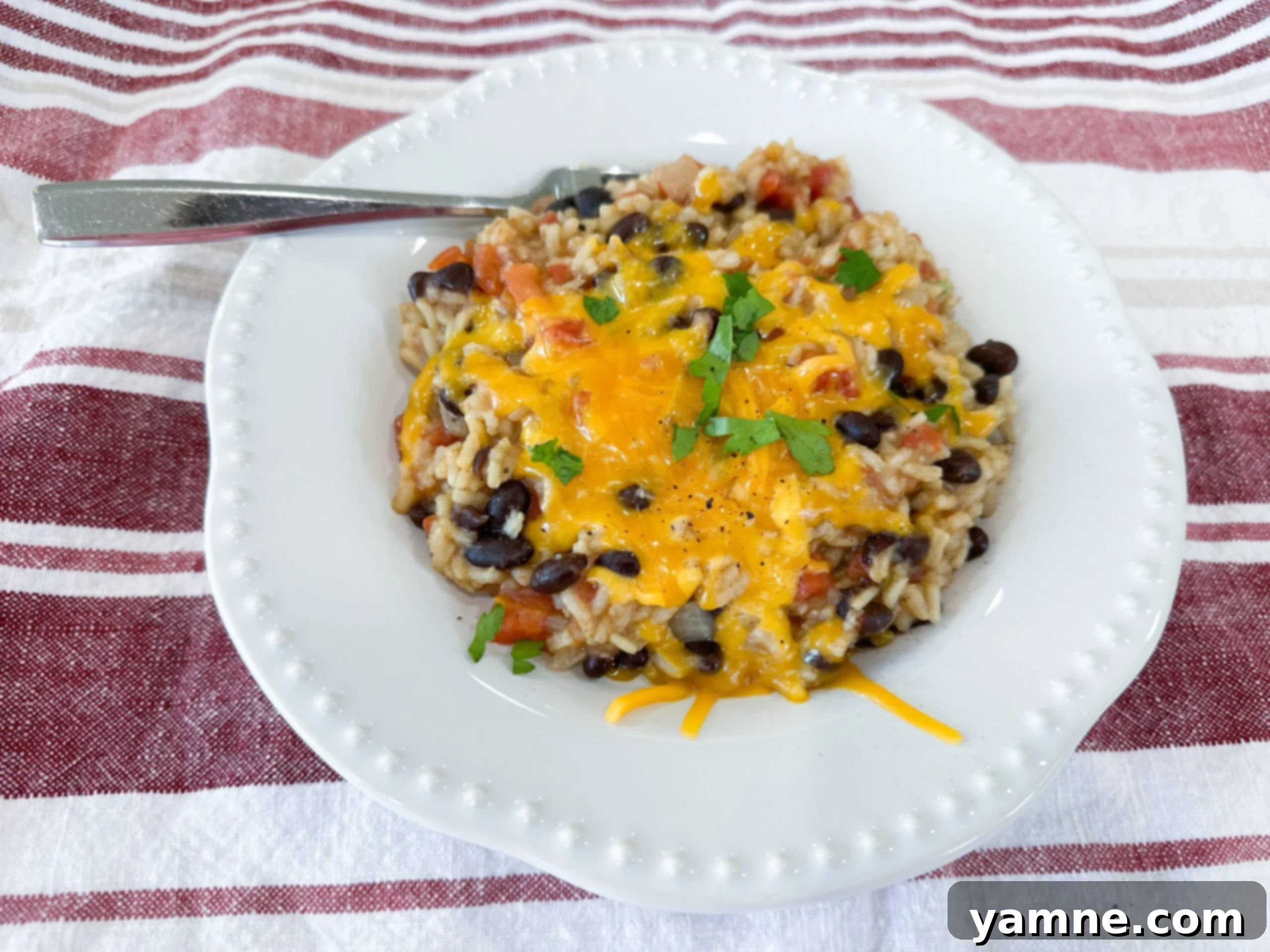 Savory Black Bean Rice Bowl 1 featured 16753