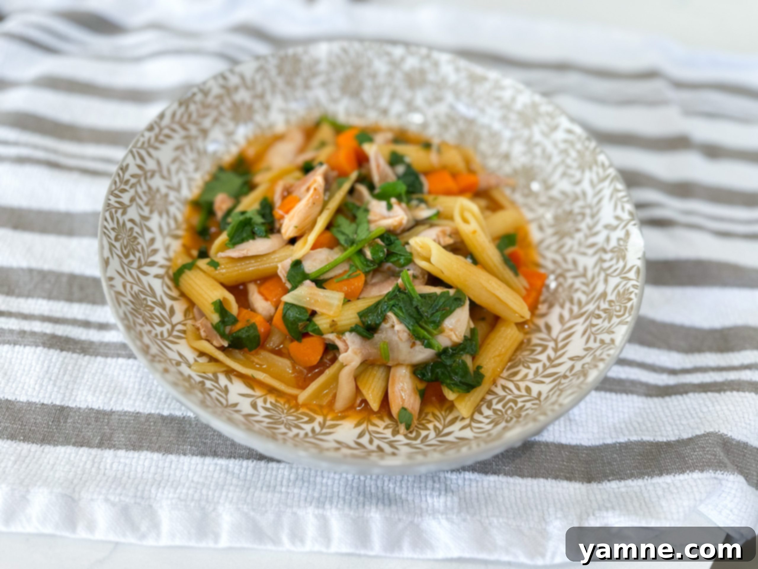 Chicken and Garden Vegetable Pasta Perfection 1 featured 16767