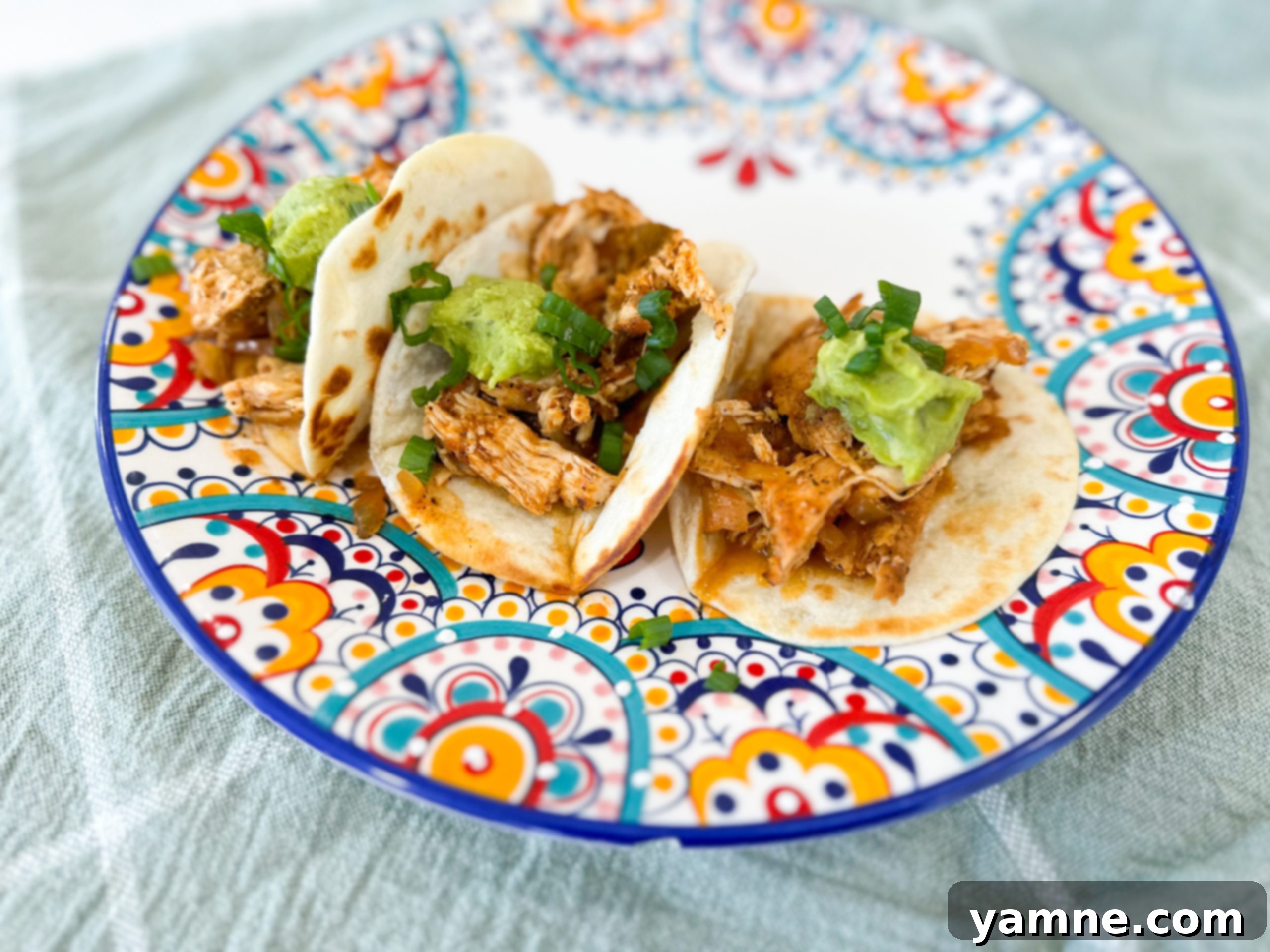Melt-in-Your-Mouth Chicken Tacos 1 featured 18037