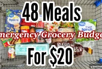 The $20 Grocery Haul: 48 Quick & Easy Emergency Meals