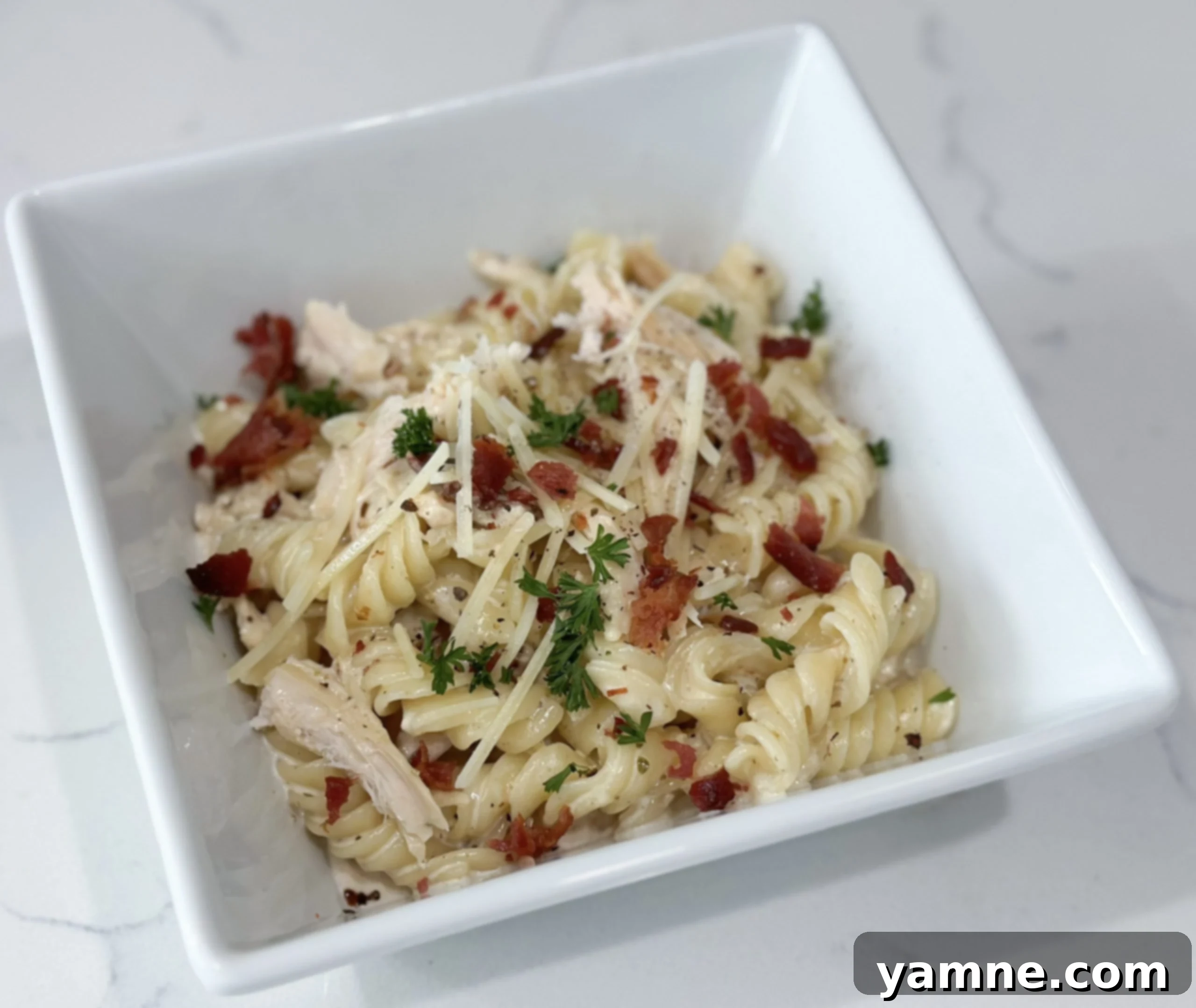 Creamy Alfredo with Rotisserie Chicken & Bacon 1 featured 19531