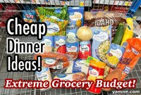 Budget-Friendly Bites: 7 Delicious & Nutritious Meals Under $25