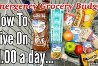 The Dollar-a-Day Survival Guide