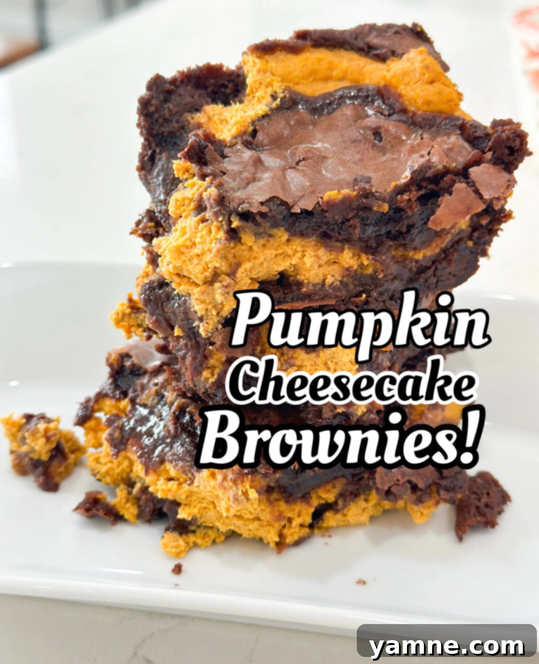 Swirled Pumpkin Cheesecake Brownies 1 featured 20342
