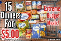 15 Easy Delicious Dinners for $5 on an Extreme Budget