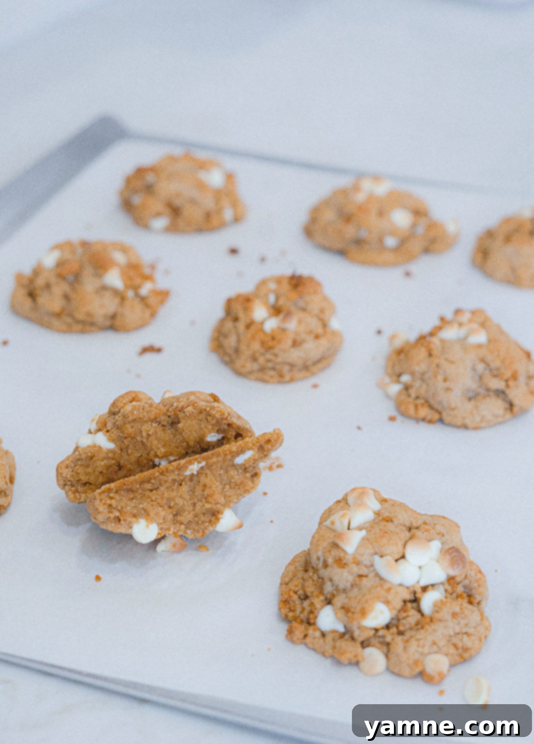 Delicious Biscoff White Chocolate Chip Cookies Sweet and Crunchy Perfection 1 featured 22298
