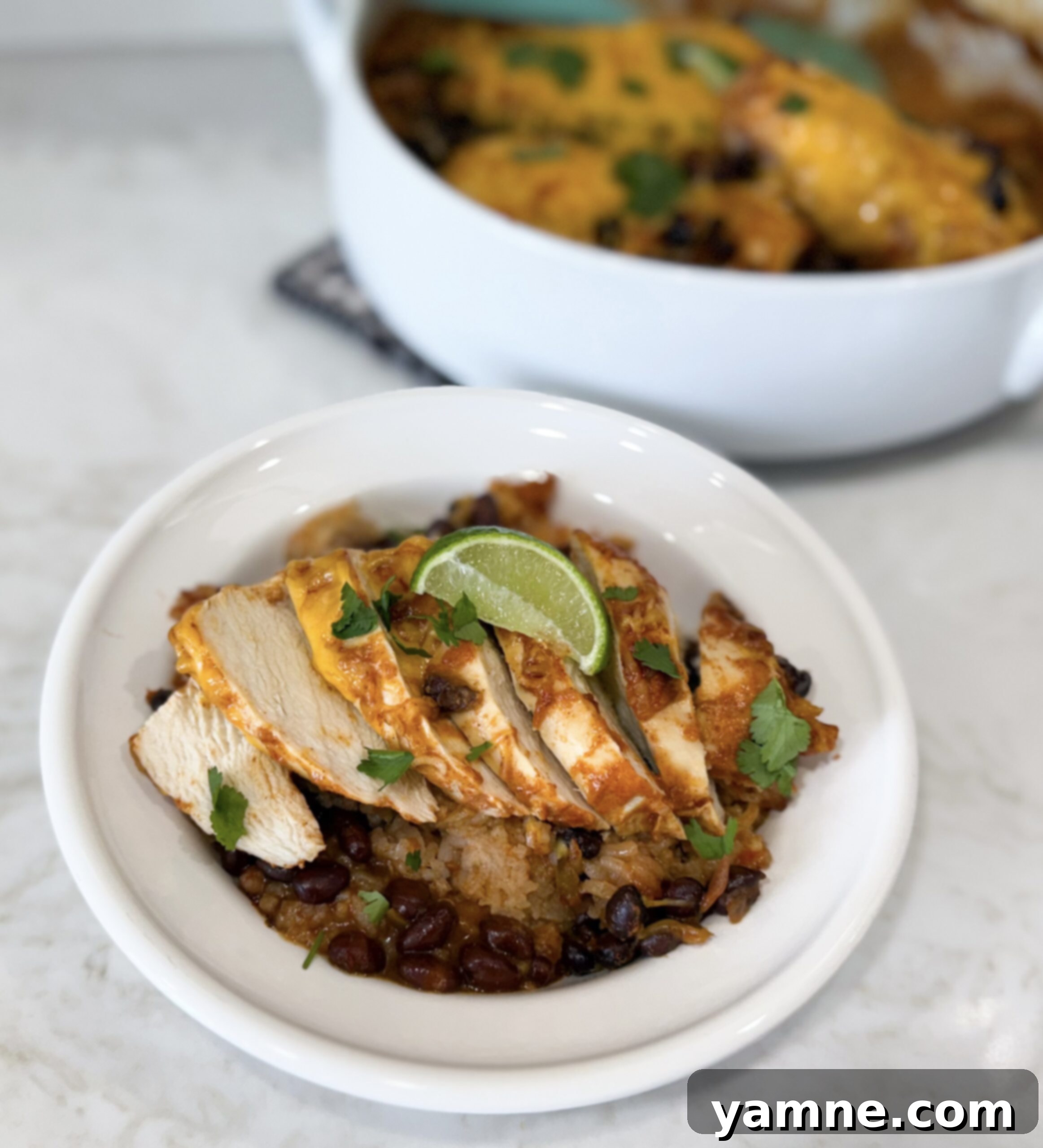 Savory Chicken, Black Bean, and Rice Bake 1 featured 22545