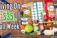 Feeding a Family of Four on $35 a Week: An Emergency Budget Meal Plan