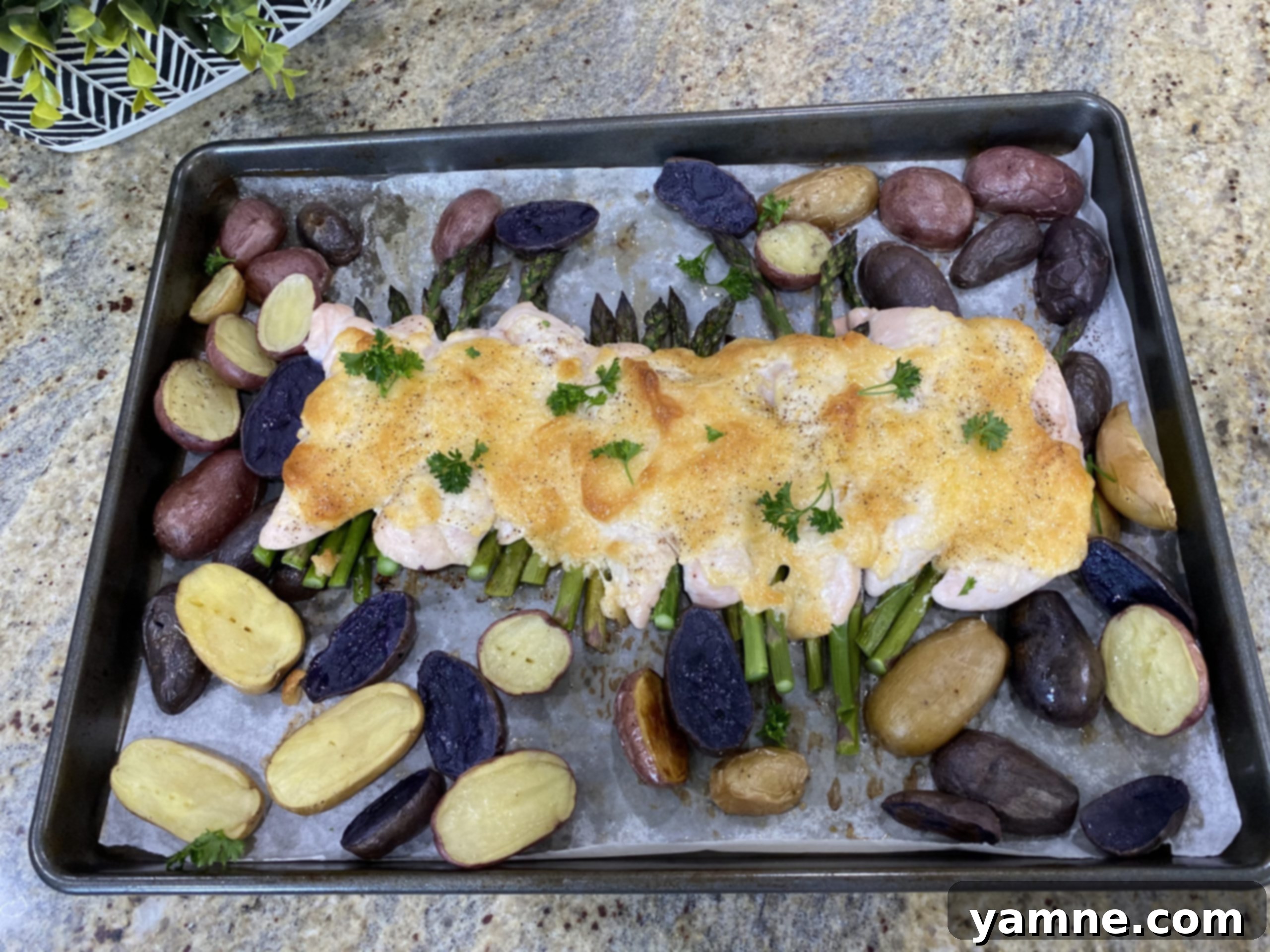 Sheet Pan Chicken Parmesan with Roasted Baby Potatoes and Asparagus 1 featured 7443