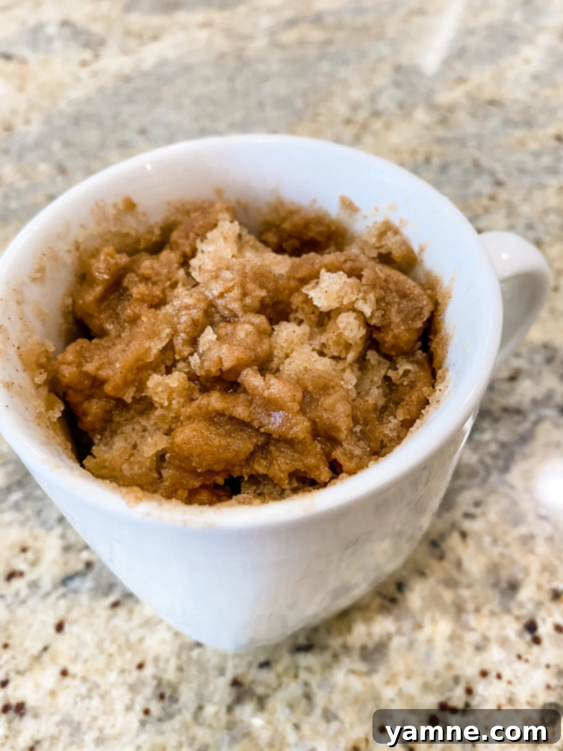 Microwave Mug Cinnamon Coffee Cake 1 featured 7565