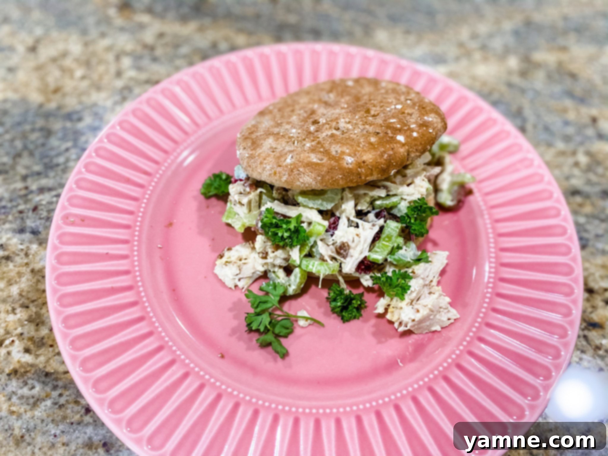 Elevated Chicken Salad Sandwich Creations 1 featured 7788