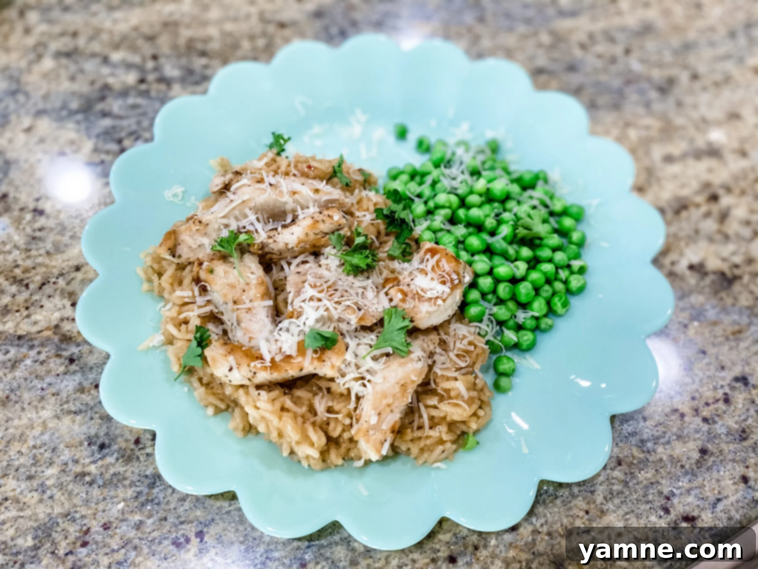 Parmesan Garlic Chicken with Creamy Rice 1 featured 7821