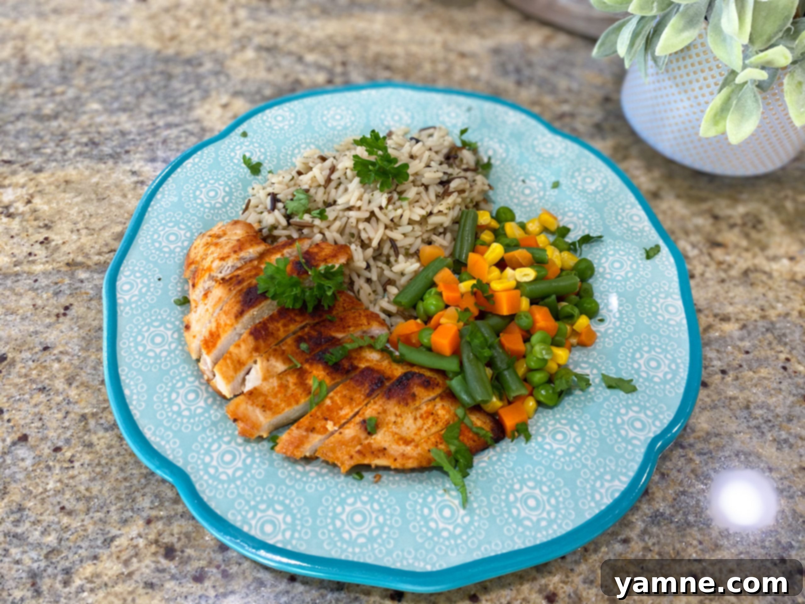 Flavorful Seasoned Chicken and Rice 1 featured 7953