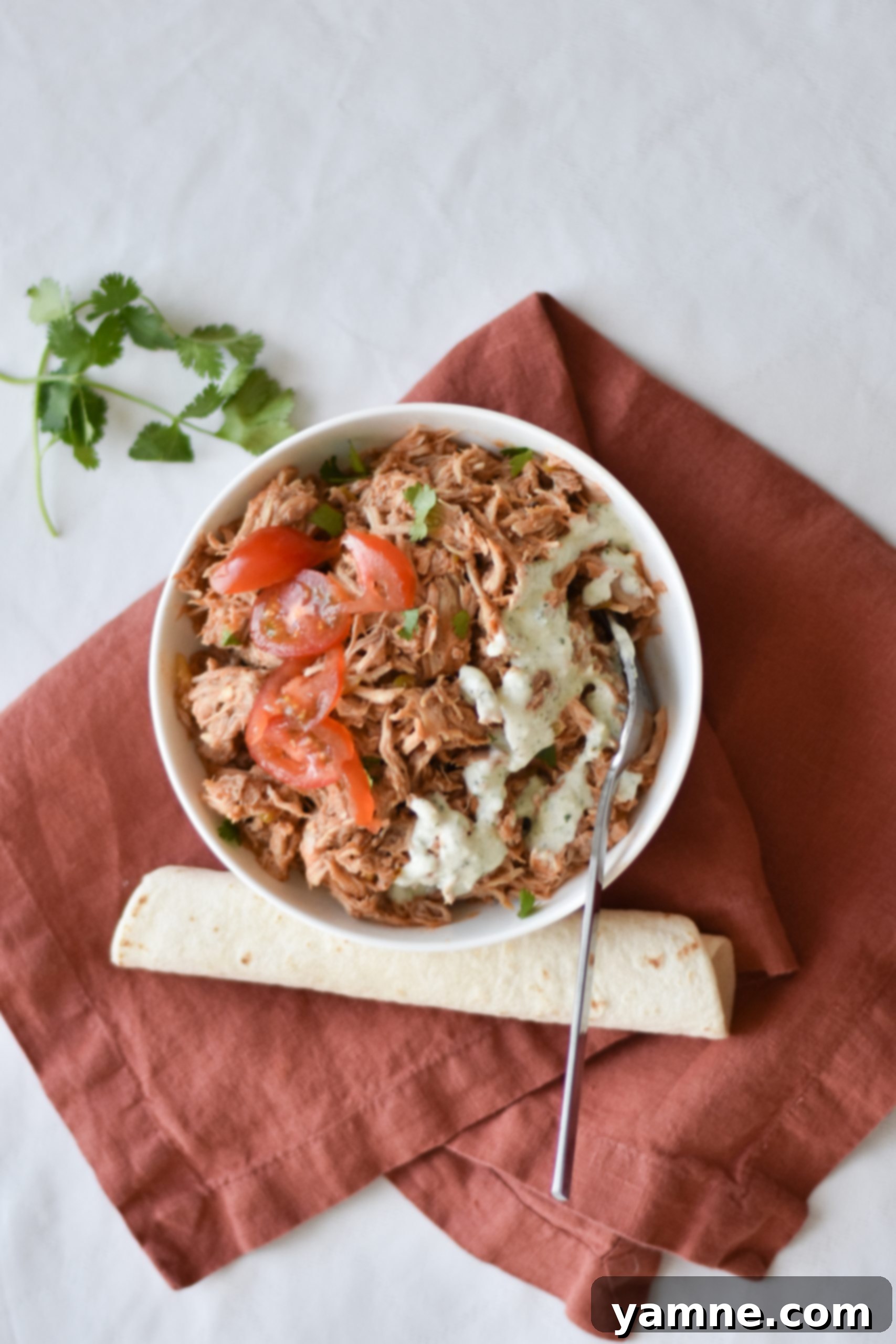 Honey-Glazed Pork Burritos 1 featured 8512