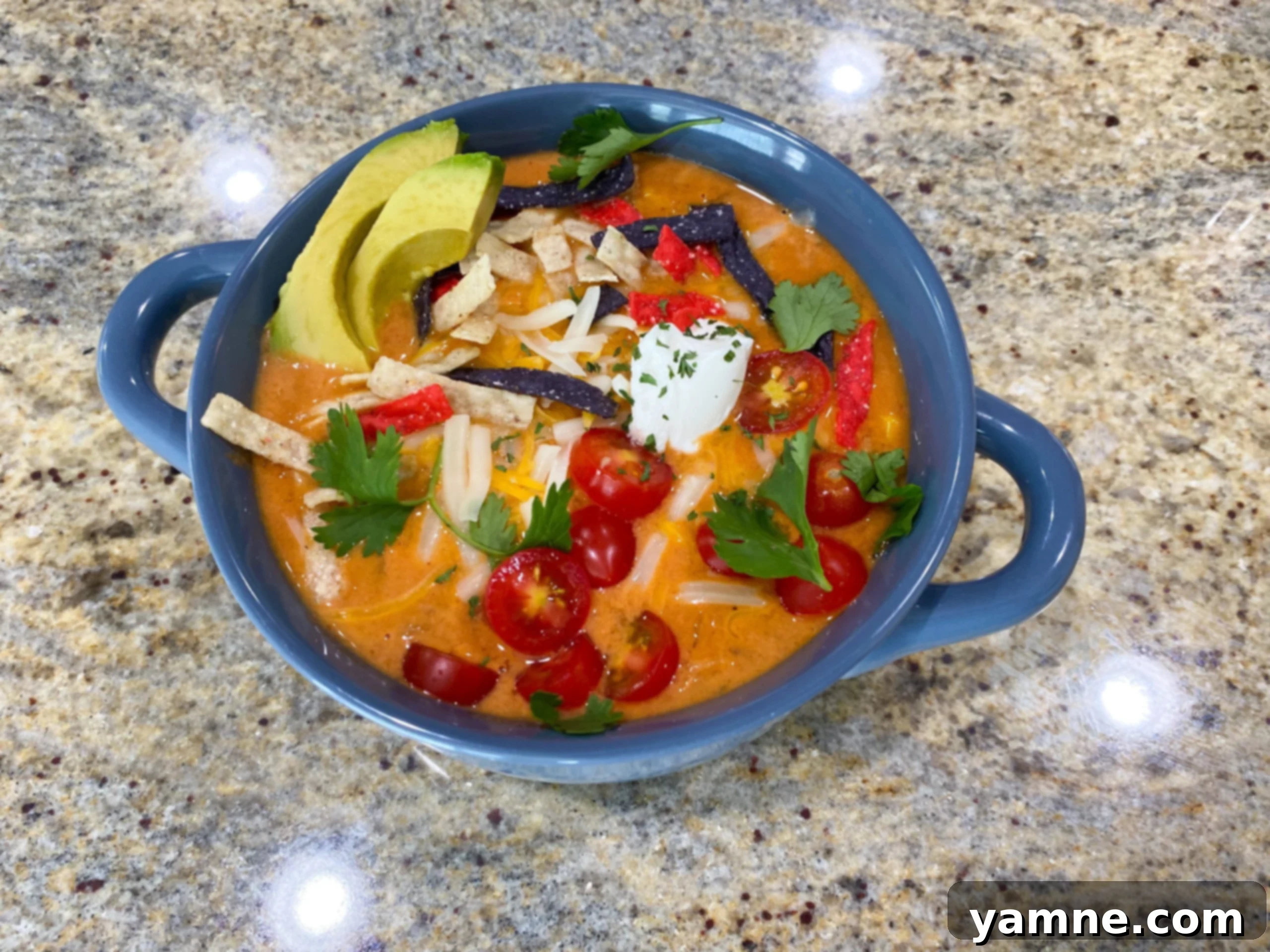 Hearty Lentil Tortilla Fiesta 1 featured 8600