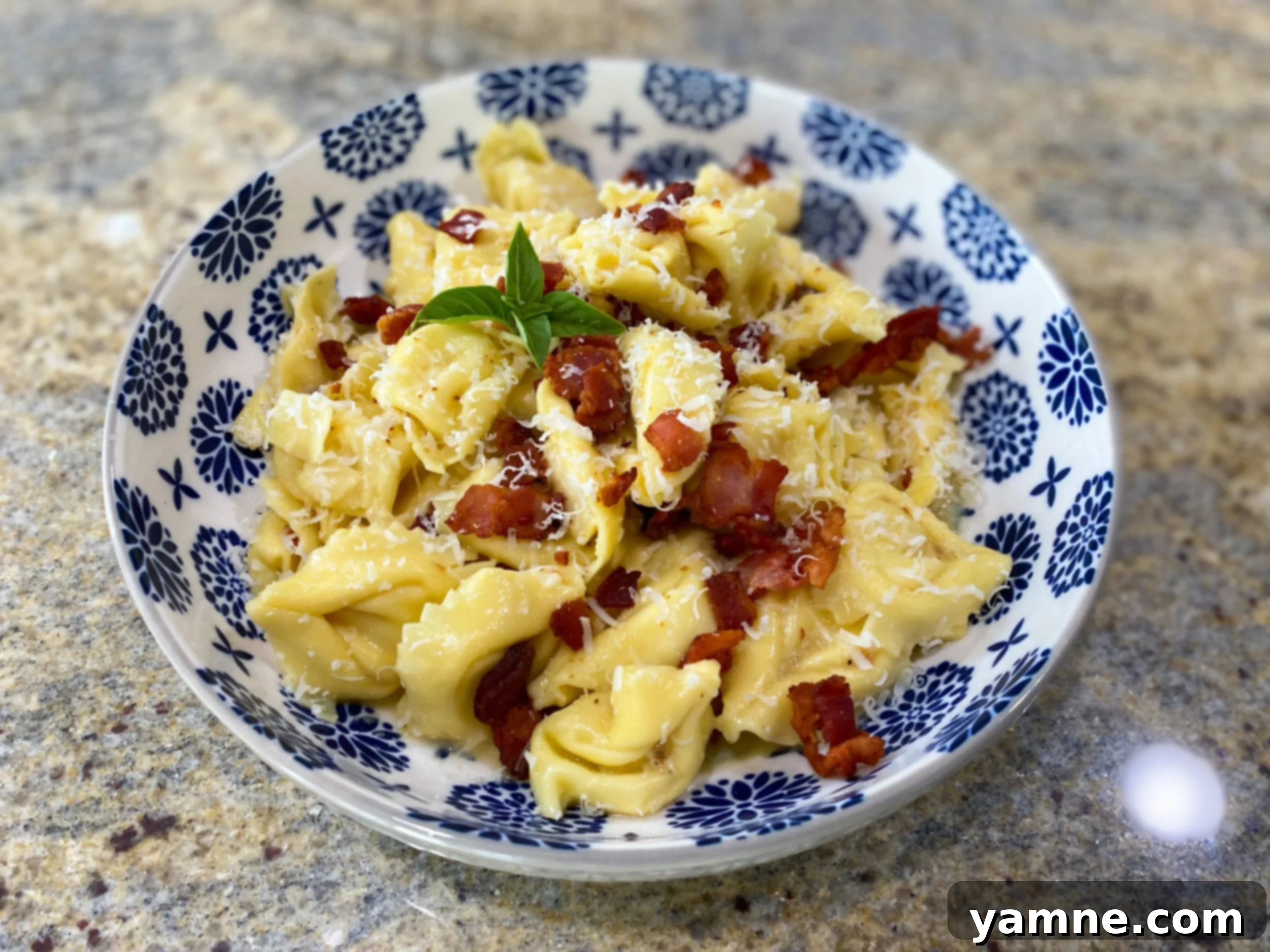Tortellini Carbonara Delight 1 featured 8666