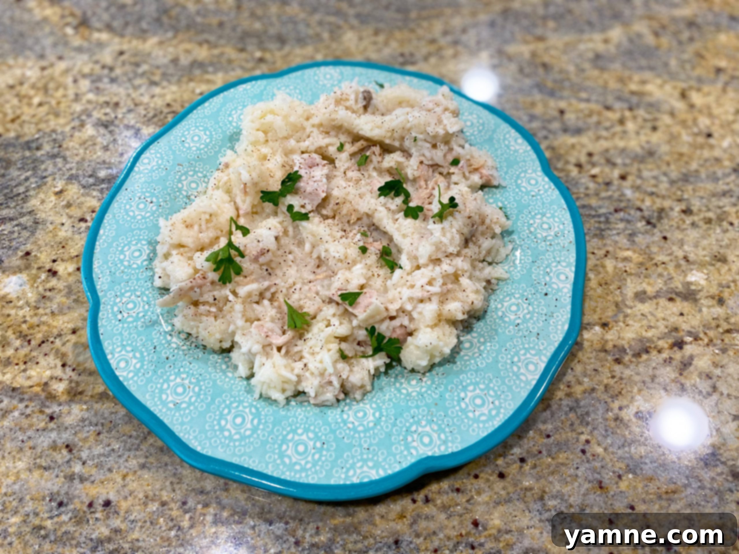 Easy Slow Cooker Pork Chops and Rice 1 featured 8985