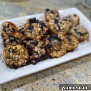 Baked Blueberry Oatmeal Cups