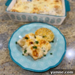 Chicken Broccoli Alfredo Stuffed Shells