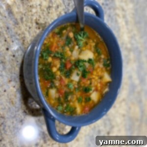 A warm bowl of homemade lentil potato soup, garnished with fresh herbs, ready to be enjoyed.