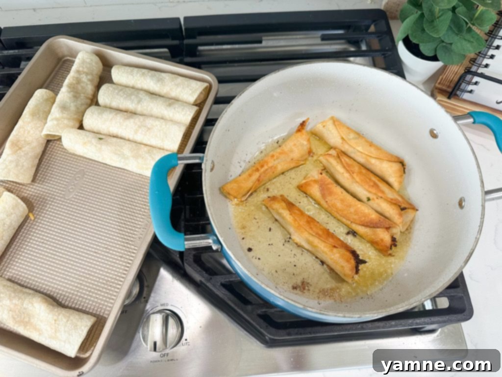 Crispy Cheesy Chicken Taquitos 7 plate of crispy cheesy chicken taquitos with fresh toppings