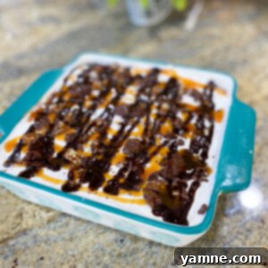 A stunning No-Bake Layered Turtle Dessert with visible layers of Oreo crust, creamy filling, pecans, caramel, and chocolate drizzle.
