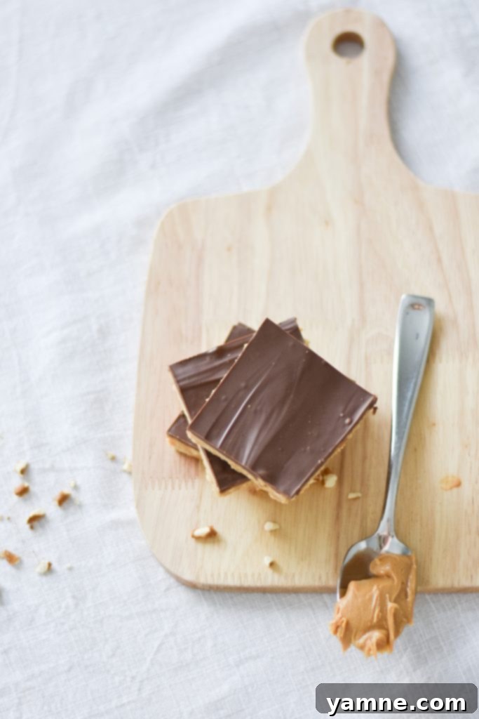 No-Bake Peanut Butter Bars