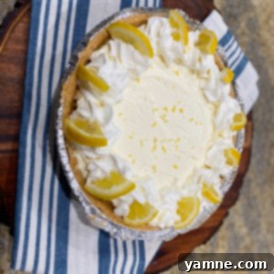 Effortless Lemon Dream Cheesecake 2 No-Bake Lemon Cheesecake