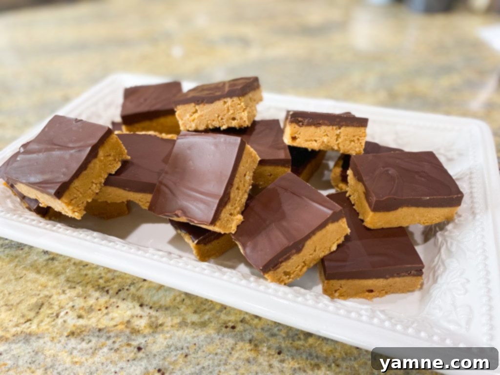 Irresistible No-Bake Peanut Butter Bars with chocolate, a quick recipe by Julia Pacheco