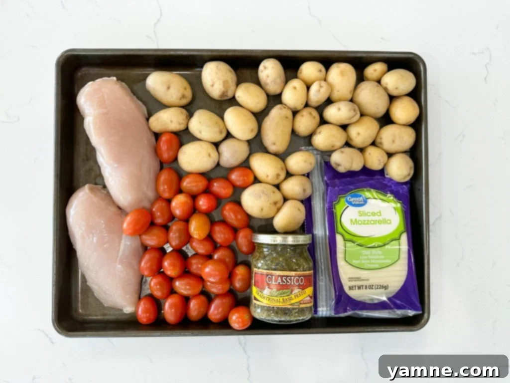 Pesto Chicken Sheet Pan Dinner 2 Sheet Pan Pesto Chicken