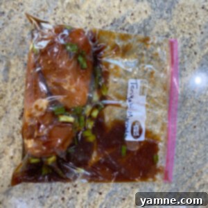 Sweet and Savory Teriyaki Chicken Marinade 2 Delicious Teriyaki Chicken