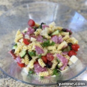 Vibrant Italian Pasta Medley 2 A vibrant bowl of Italian Pasta Salad with rotini pasta, cherry tomatoes, cucumber, mozzarella, and salami, drizzled with Italian dressing.