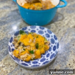 Creamy Cheesy Chicken Broccoli Rice Casserole 1 A delicious serving of Cheesy Chicken Broccoli and Rice Casserole, garnished with fresh parsley.