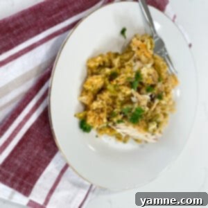 Delicious Slow Cooker Seasoned Rice and Chicken with Broccoli, garnished and ready to serve.