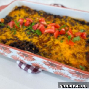 Hearty Black Bean Enchiladas 2 Close-up of baked Black Bean Enchiladas topped with cheese and fresh cilantro