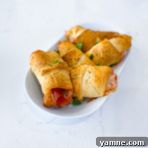 Pizza Crescent Pockets 5 Pizza Crescent Pockets