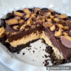 A slice of rich No-Bake Peanut Butter Chocolate Pie with crushed Reese's on top.